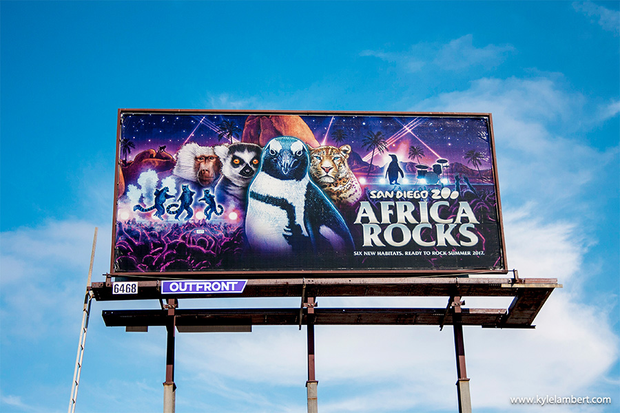 Africa Rocks San Diego Zoo - San Diego Billboard