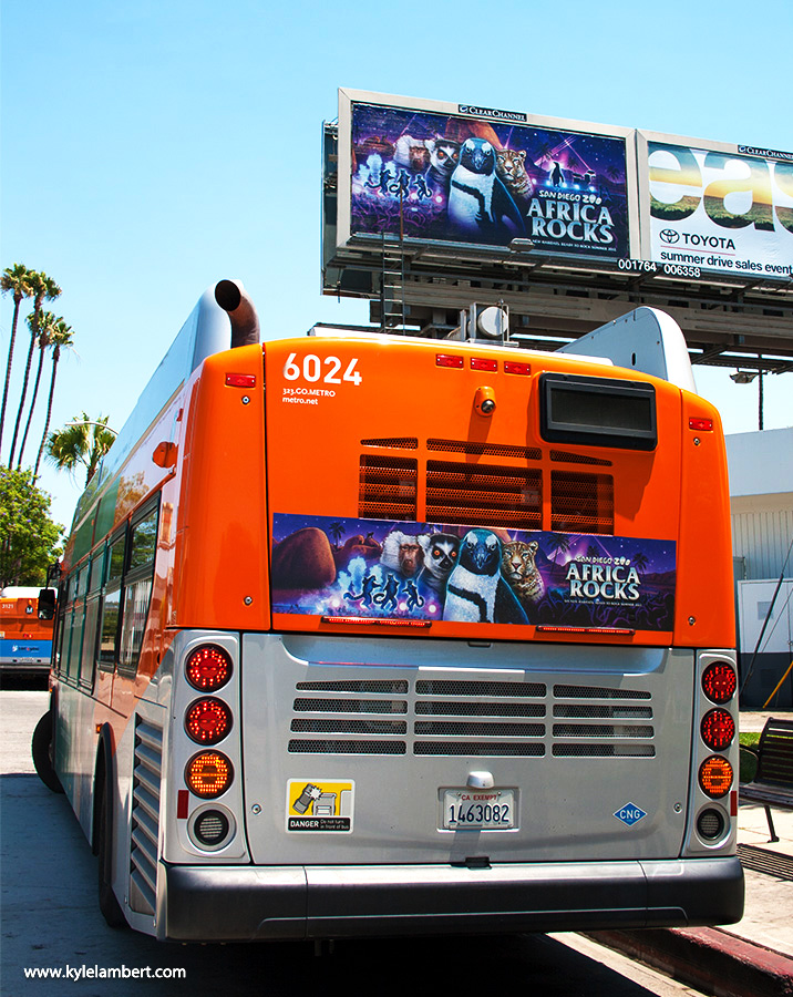 Africa Rocks San Diego Zoo - Billboard & Bus