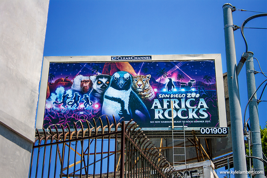 Africa Rocks San Diego Zoo - Billboard